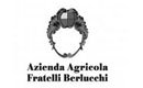 fratelli berlucchi